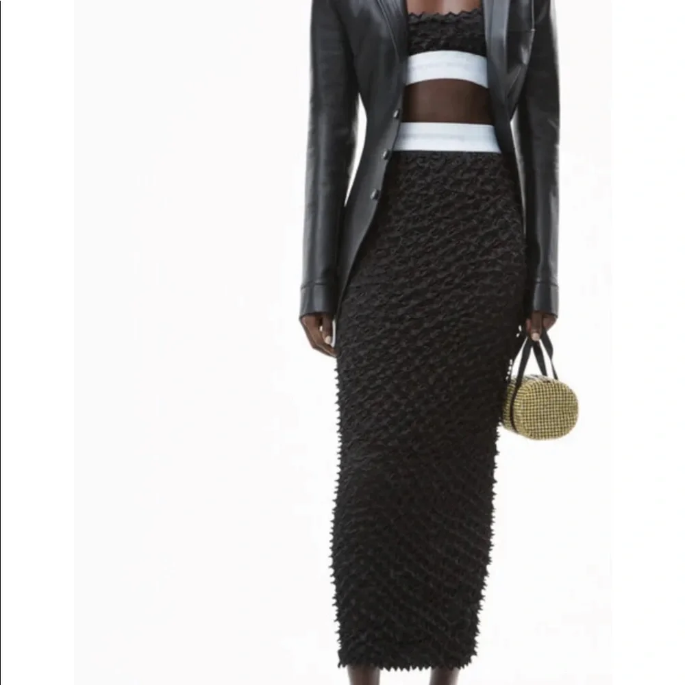 Alexander Wang Set (top & bottom)